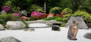 Meditating in the garden, writing my poetry.