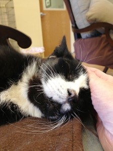 Is that a hand? I'll snuggle it, too.