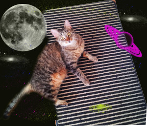 Magic Carpet on a normal day