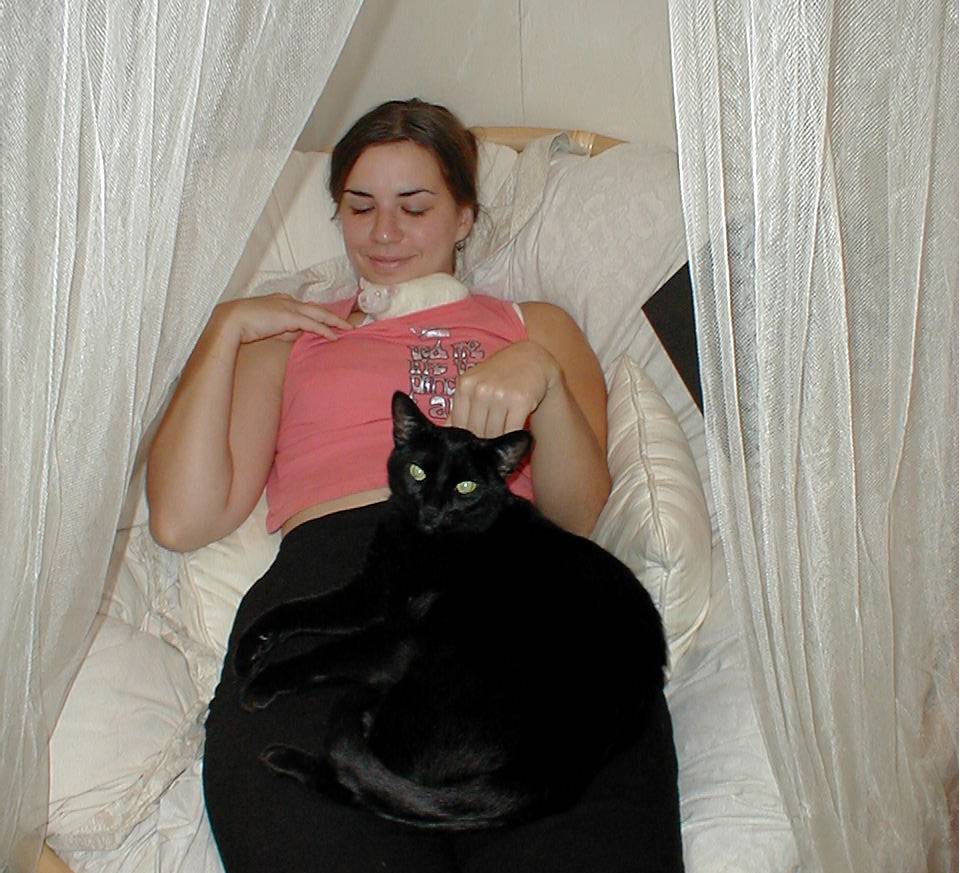 cat lying on womans lap with rat