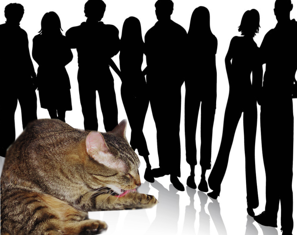 Me, entertaining my adoring crowd