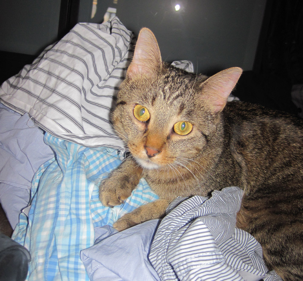 Me enjoying a load before it get washed