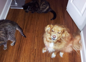 An unexpected participant