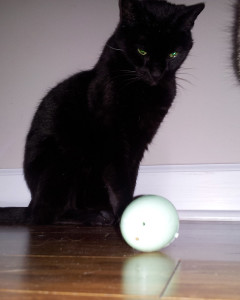 I will open you with my stare