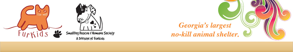 furkidsheader