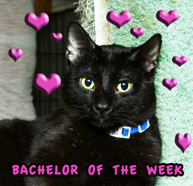 Kansas:  Way better than Toto