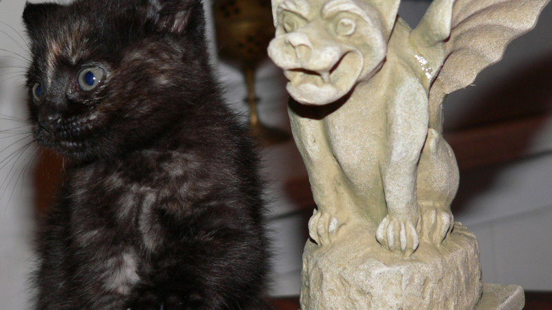 Mrs Peabody, Kitten, with Gargoyle