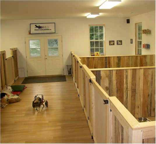 Pets with disabilities barn