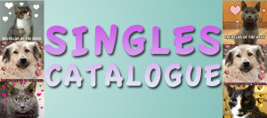 singlescataloguebanner