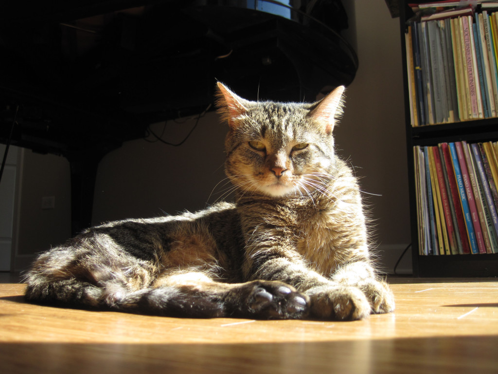 A gratuitous photo of me to brighten your day