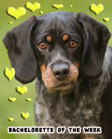 Dottie: Blind to your faults, Open to your love