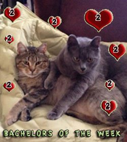 Indigo & Jackson: Looking for their third party