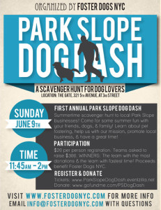 Park Slope Dog Dash