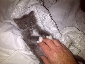 Unhand me, fiend, or I'll fight ye with me stump! 