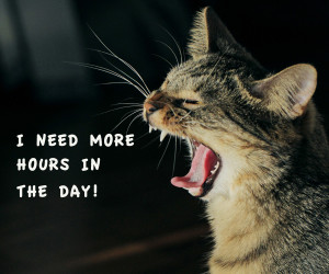 Do you ever feel like this?