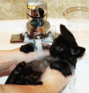 When you foster, this happens.