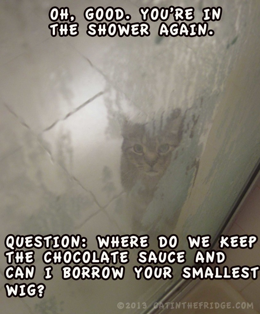 rockyshower