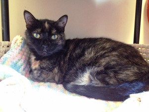 There's room for one - one more. ::wink wink::