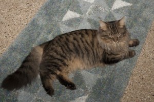 Resting during a long carpet walk