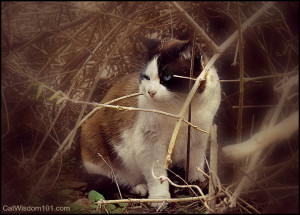 Gosh, he sure has nice blue eyes, doesn't he? 