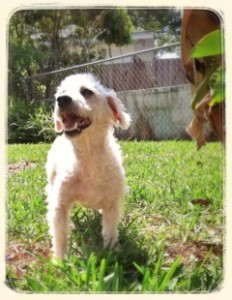 Smiling big, hoping to win your love. Winner?