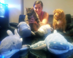 Enjoying Shark Week with momFOD, Doodle, and all of our shark mascots. I'm still suspicious of them, despite their plush nature. 