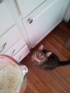 Rocky was the first tester to arrive on scene.