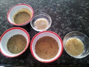 Five bowls for five tasters.