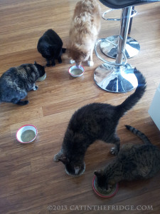 All the tasters hard at work.