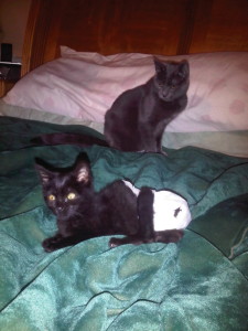 D'Art wonders who the baby is