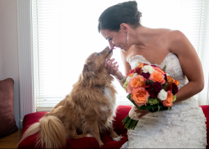 Also by Victoria Sprung. Note, there are no portraits with the cats. Hmph.