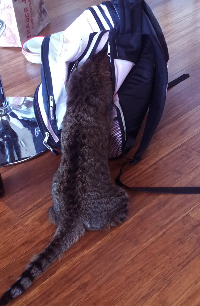 Me, getting my thief on.