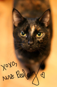 Mrs Peabody, She's not my best friend but I'll admit she's pretty sexy.