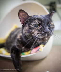 "Who dares touch cabinet A through G?!"