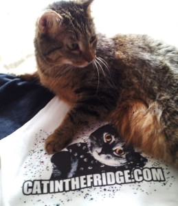 Me with the t-shirt in question.