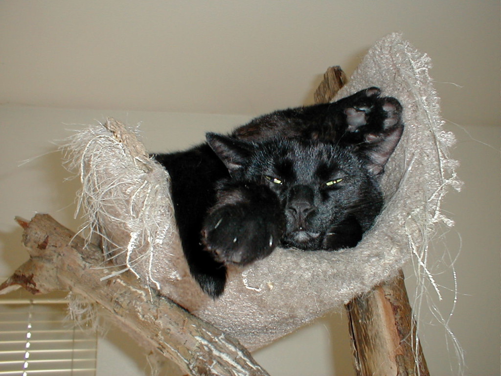 Umm.. obviously magic is happening here. How else can this possibly occur?!