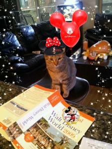 4 Days Away! I'm studying hard!