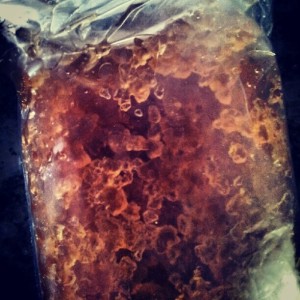 My new kefir colony.