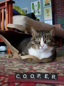 Special Agent Dale Cooper, super model. 