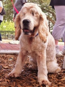 "I can smell you. Come hug me."