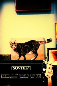 Vivian hanging at the studio.