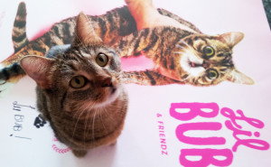 Me and Bub's Movie Poster