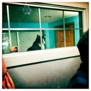 Window to the studio.