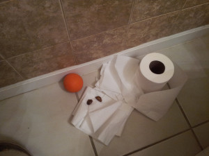 I shredded it, Rocked pooped on it. Teamwork. 