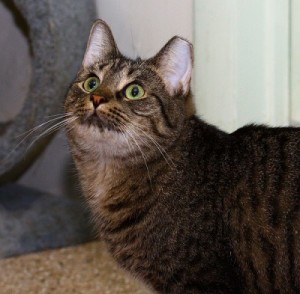 Jasper looking for love... but is it in all the right places?