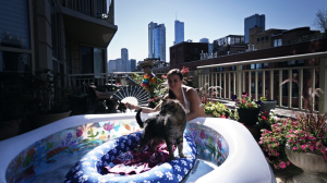 One of "Greg's" many needs.