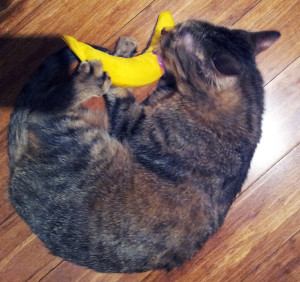 If I hadn't mentioned it, the banana was my favorite part.