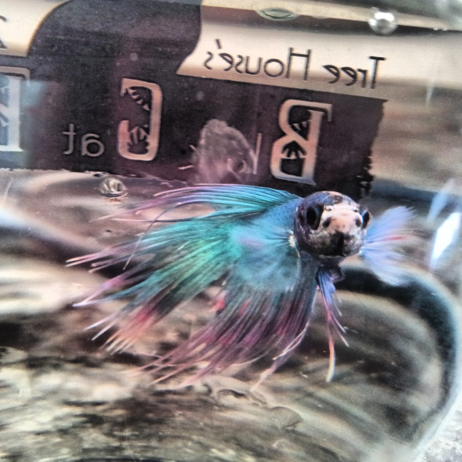 Francis in his Tree House holding glass, waiting for his home to be cleaned.