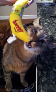 My favorite part: the banana.