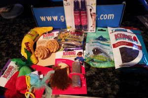 The materials on display.